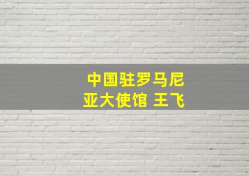 中国驻罗马尼亚大使馆 王飞